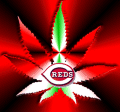 GKPro's Avatar.. Reds..