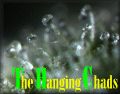 The Hanging Chads