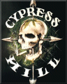 Idiot's Avatar - Cypress Hill Skull