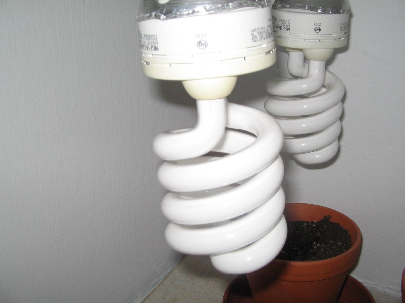 close up of cfl's