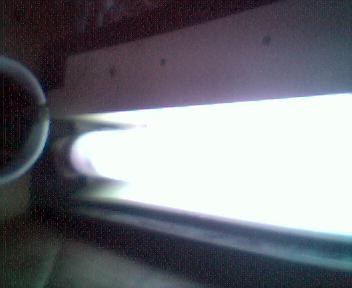 i replaced the HID light with a floro, i read on GK that floros r better for babies, holla crack