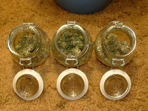 Time to cure in the jars. 