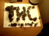 THC is the thing for me...