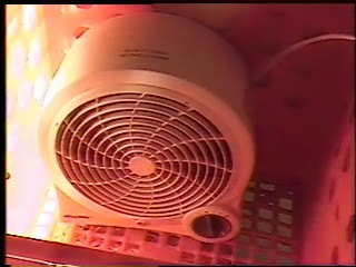 we use this fan to warm the area a bit and to keep the air circulating