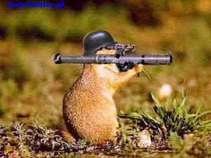 Squirel: You want a peice of me mother fucker?...do you feel luckey punk??? do you...feel luckey punk...?