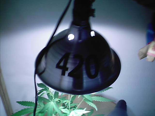 have to rep the 420