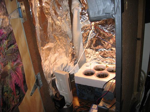 here's the box wtih door open. the fans are in cardboard/ducktape inside right. pump is on top of bottom fan. plants r there and light is on. ionic breeze with plugs on inside left.