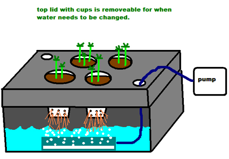 i just kinda made that thing, i hope it's working good, seems to be! would that count as hydroponics?