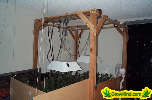 The 2 1000W HPS lights are mounted on light rails and hang from an adjustable wooden frame. The clamp design allows easy movement of the lights. Boards lined with mylar surround the garden and multiple fans provide ventilation.