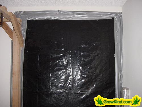 All windows are properly insulated and covered double thick with heavy plastic.