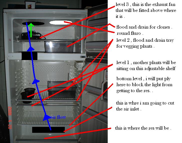 here are my plans for my new mother clone and veg fridge . the mother plants will sit on the left hand side of a adjustable shelf at the bottom , the 2nd shelf has about 1/3 of it cut out for the mother plants to grow threw and the vegging plants will sit to the right of the mothers and up top in the freezer will be for the clones . 