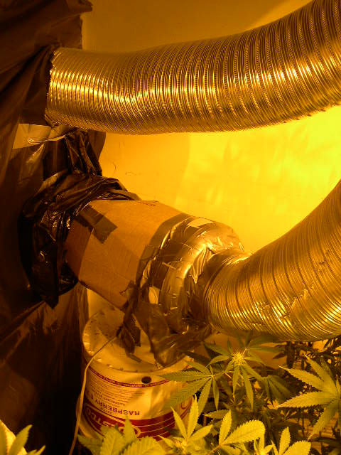 A medium sized fan pushes air out; 6' dryer hose draws air in from outside, through the sealed hood, across the 1KW bulb, and out through a sealed window.