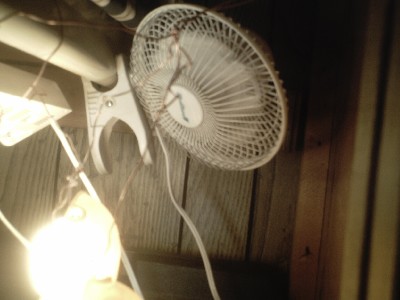 I purchased the fan at family dollar for 6 bucks and it does the job.