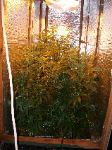 Eventually had to use crates to raise....
started w/ 6......3 dudes...
