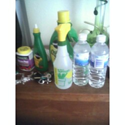 I water the 4 plants with one bottle and half Daily? To Much? with ferts..