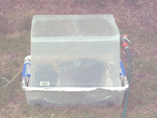 This is my homemade greenhouse