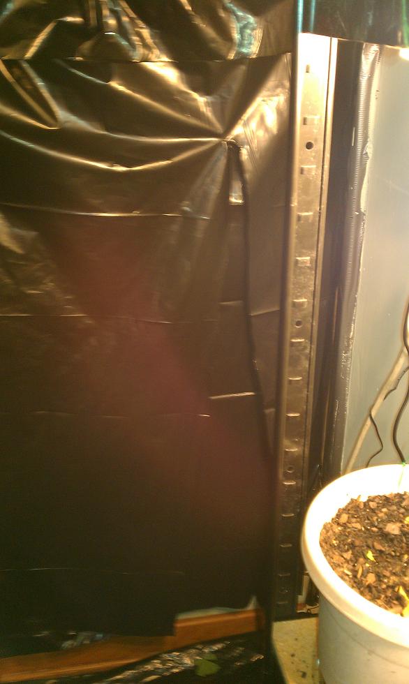 Seen here is my flower chamber, hidden away by black plastic. No i wont show the insides yet, as im deeply ashamed of the tragic accidents that currently reside therein. 
