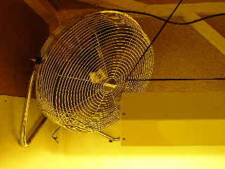 18 inch bionnaire fan inside.